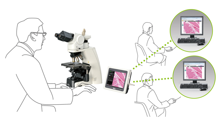 ci病理學通過網絡數字化